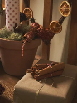 Søstrene Grene Kanel