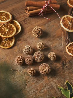 Søstrene Grene Naturdekoration